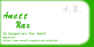 anett max business card